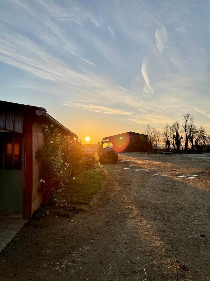 Chambre A La Ferme Precy-le-Sec エクステリア 写真