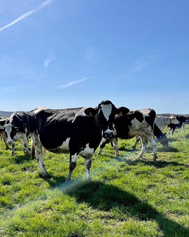 Chambre A La Ferme Precy-le-Sec エクステリア 写真